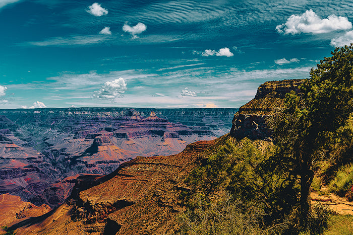 Angel's Trail