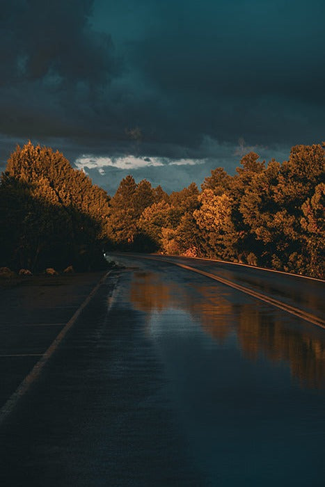 A photo of the north rim canyon road post rain storm. Lots of trees and reflections - edited to a moody, dark vibe  