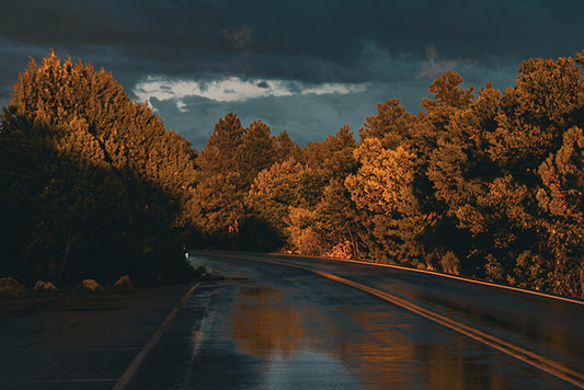 Canyon Road - Landscape