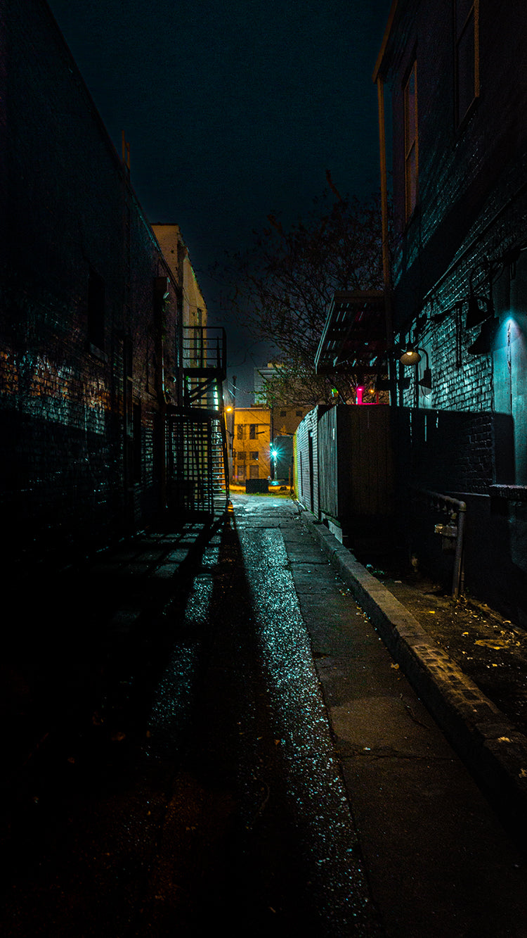 RaiNeon - Back Alley Backdrop – MadSciProductions LLC