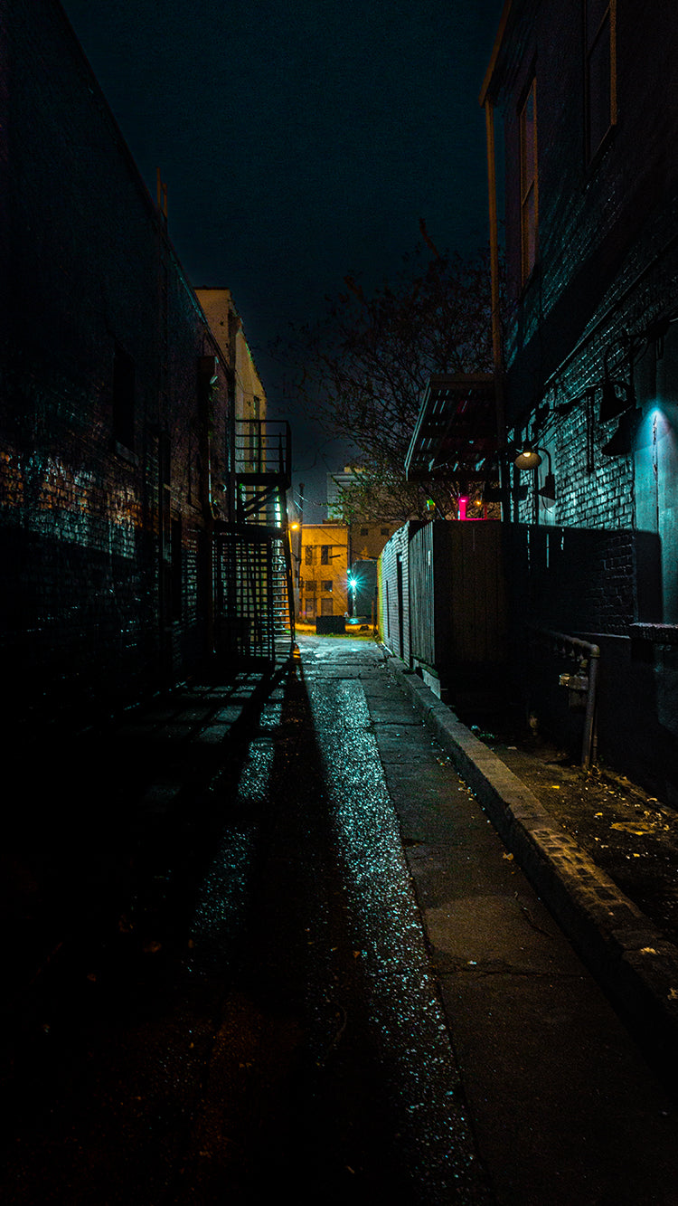 Back Way Background RaiNeon - Back Alley Backdrop – MadSciProductions LLC